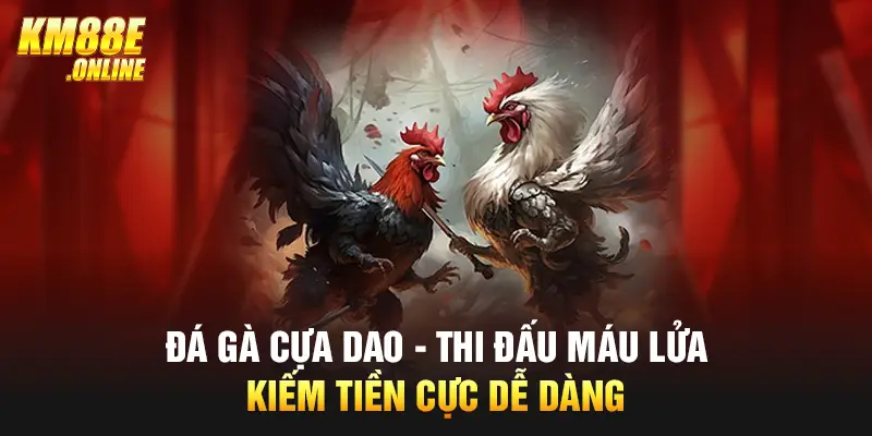 Đá Gà Cựa Dao - Thi Đấu Máu Lửa, Kiếm Tiền Cực Dễ Dàng