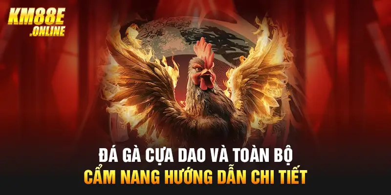 Đá gà cựa dao và toàn bộ cẩm nang hướng dẫn chi tiết