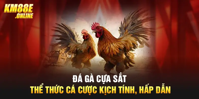 Đá Gà Cựa Sắt - Thể Thức Cá Cược Kịch Tính, Hấp Dẫn