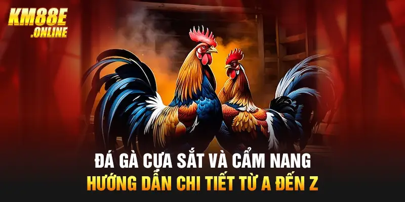 Đá gà cựa sắt và cẩm nang hướng dẫn chi tiết từ A đến Z