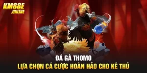 Đá Gà Thomo - Lựa Chọn Cá Cược Hoàn Hảo Cho Kê Thủ